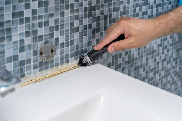 Best Mold Remediation for Specific Building Types in Armada, MI